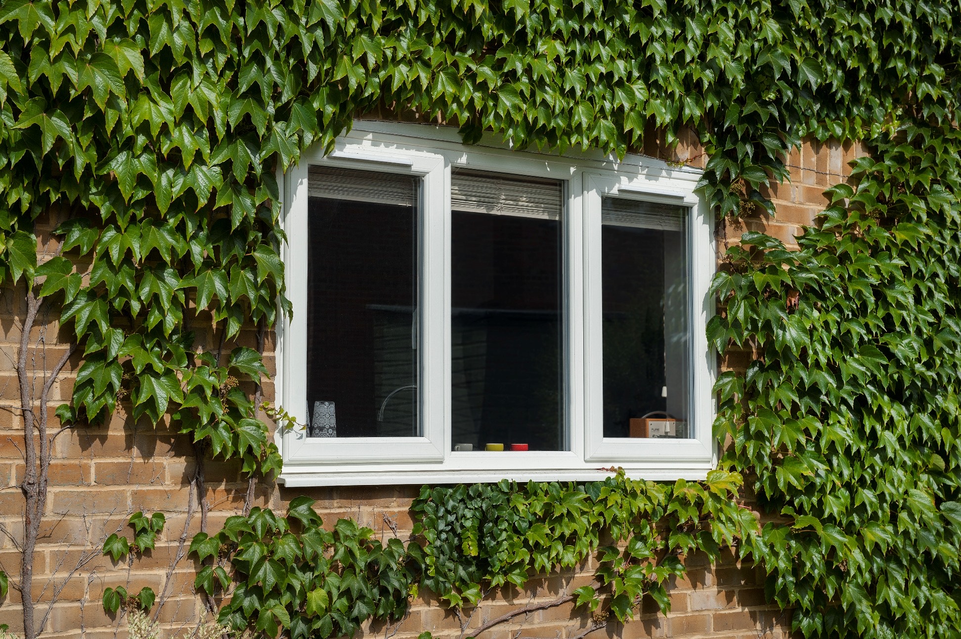 Casement Windows