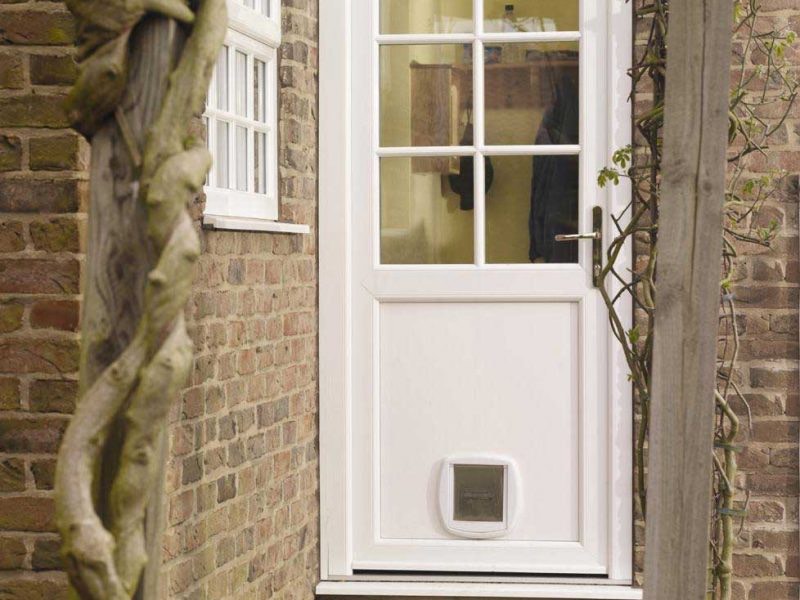 uPVC back door with cat flap