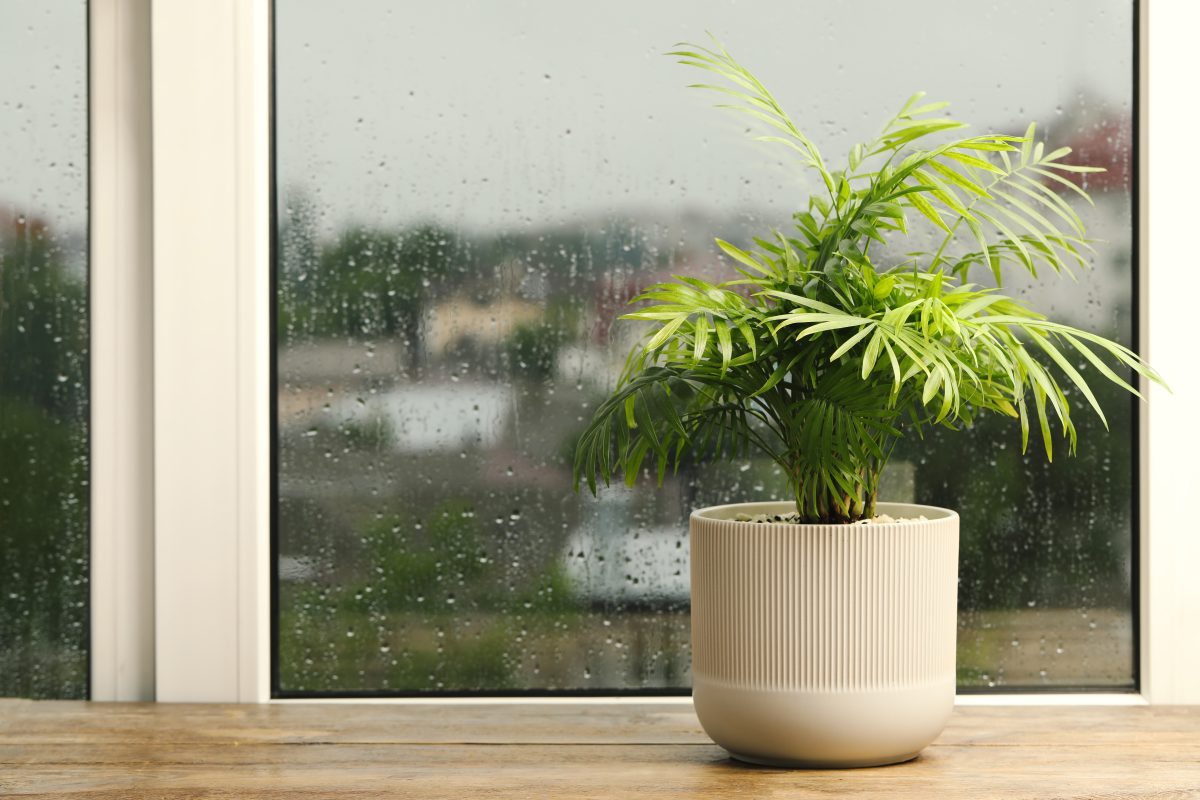does double glazing stop condensation