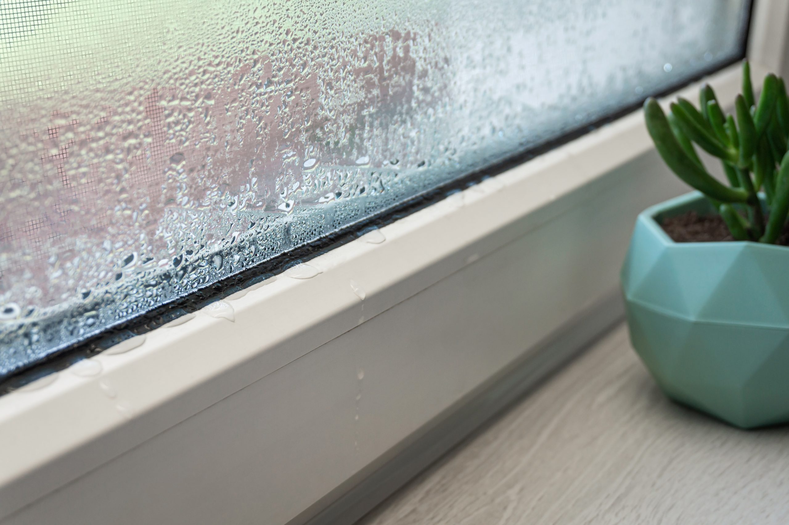 How To Protect Your Windows From Condensation