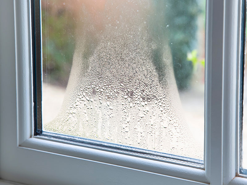 Windows with Condensation Carmarthen